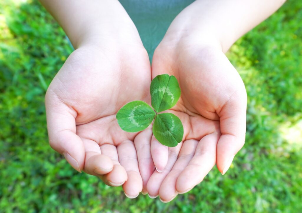 クローバーを手に持っている写真