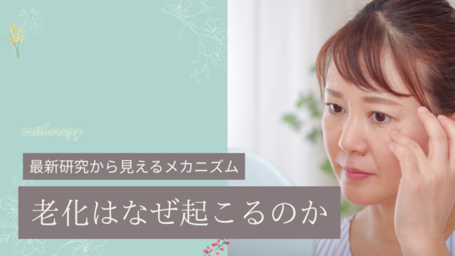 老化はなぜ起こるのか｜最新研究から見えるメカニズム