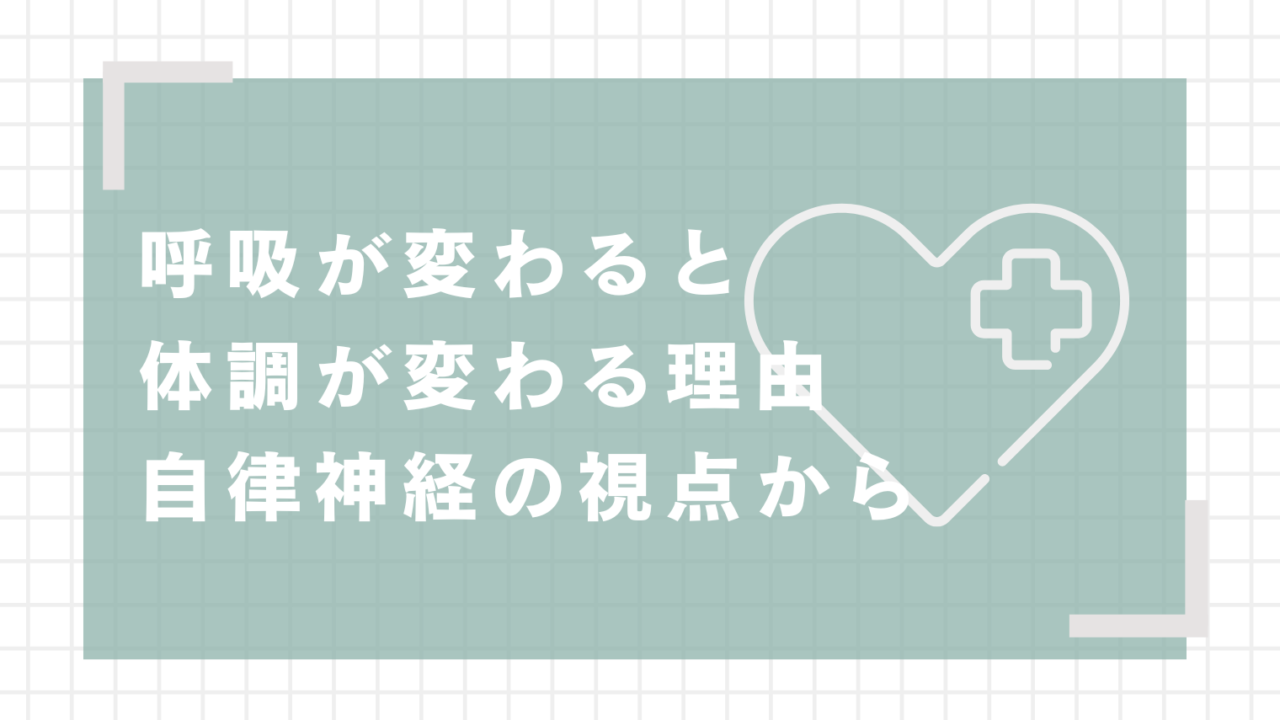 呼吸が変わると体調が変わる理由｜自律神経の視点から