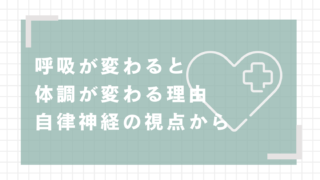 呼吸が変わると体調が変わる理由｜自律神経の視点から