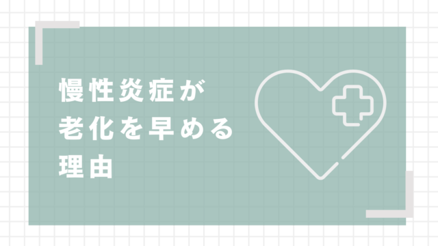 慢性炎症が老化を早める理由